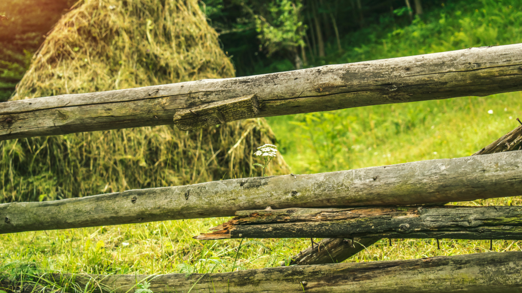 Drewniany płot i stóg siana